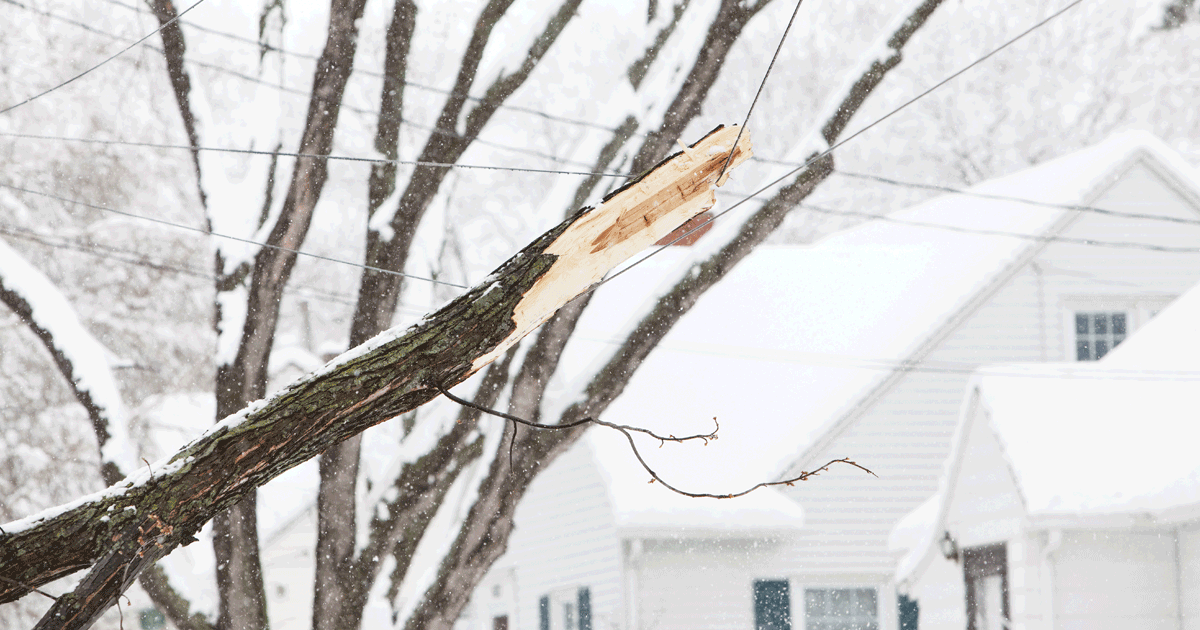 XcelEnergyMN's tweet photo. Storm Update: Wet, heavy snow and high winds overnight damaged trees and power lines resulting in outages across our region. Crews are working to safely restore impacted customers as quickly as possible, with more help on the way. For outage safety info: https://t.co/xQU8wWNr4q https://t.co/BjcdvqnkfH