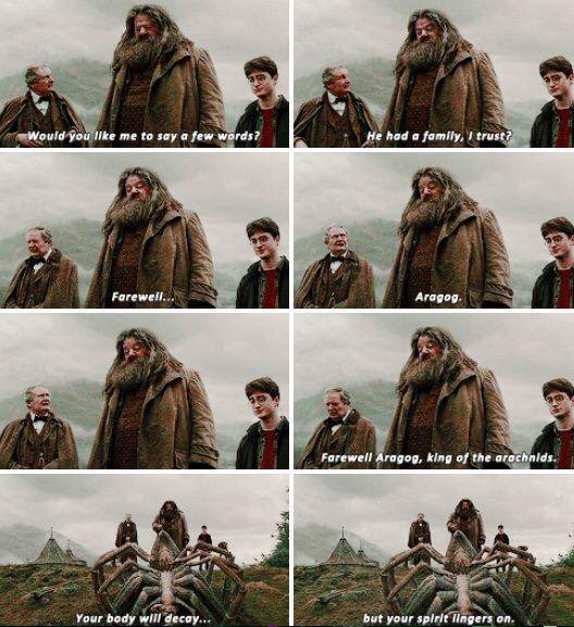 Harry Potter World on Twitter "21 April 1997 Aragog's funeral takes