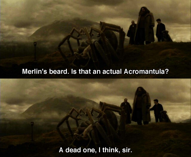 Harry Potter World on Twitter "21 April 1997 Aragog's funeral takes