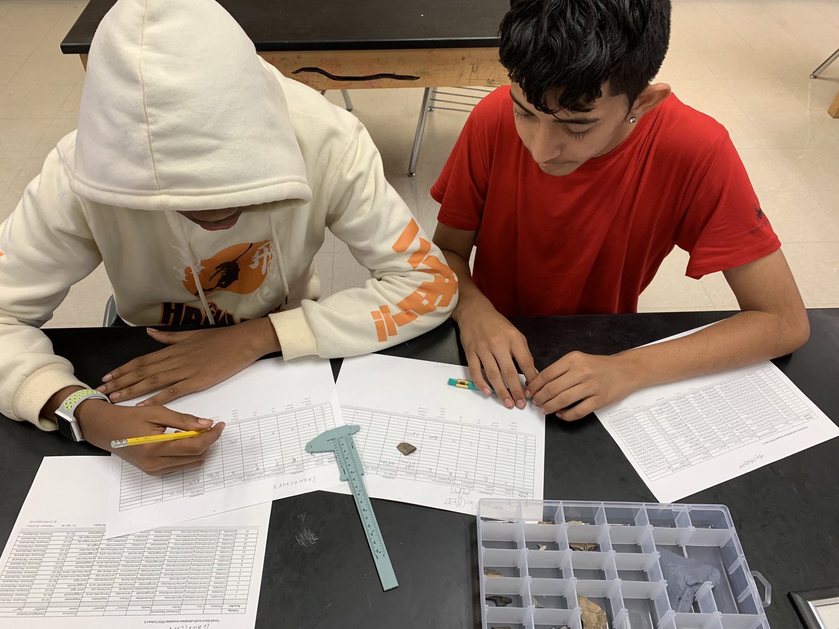 MrsAtkinsTMS's tweet photo. Measuring fossilized shark teeth! Collaborating, discussing, recording data. They love this! Encouraging scientists! @UFEarthSystems #SharkAI #SEFS @TradewindsMS @PBCSDScience @PBCSDSTEM @mrsK_IBSCI https://t.co/KU3c7iAcRK