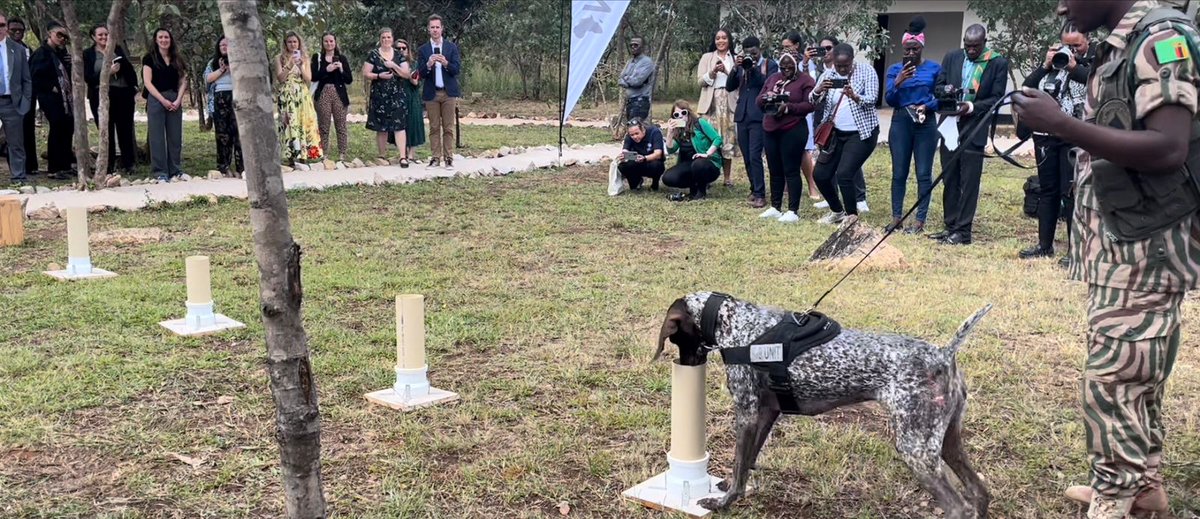 Samantha Pokroy 🇿🇦 tweet media