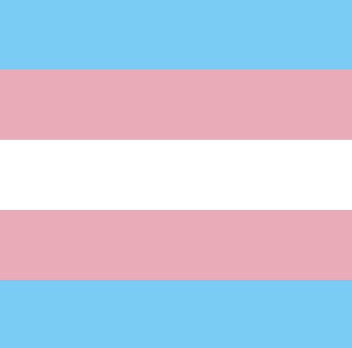 To those seen and unseen, your life is valid. Your pronouns are real. Your safety is mandatory. Trans people shouldn’t be fighting a battle to exist. On Trans Visibility Day—and every day—I stand in solidarity with my trans son and all trans people. ❤️