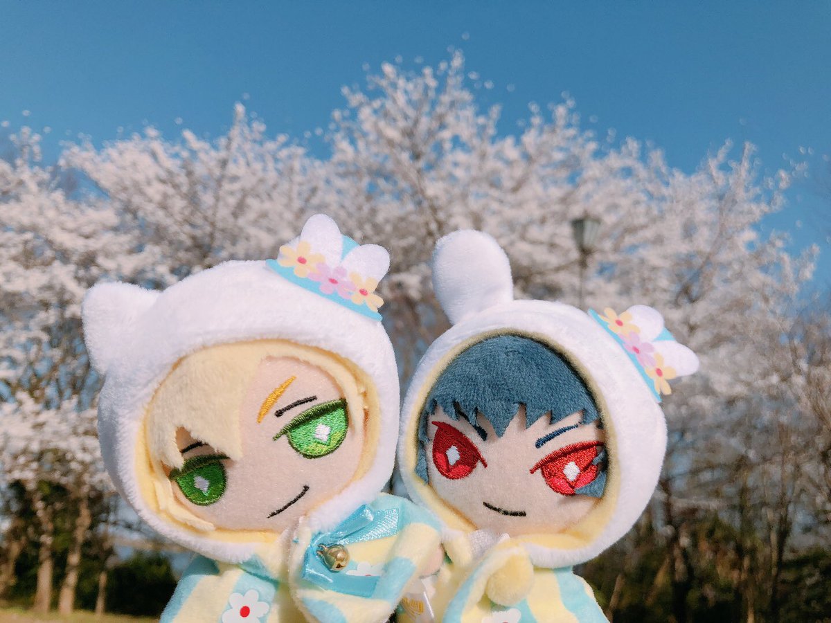 hidukiUK's tweet photo. お花見🌸 https://t.co/C0esHLrj0q