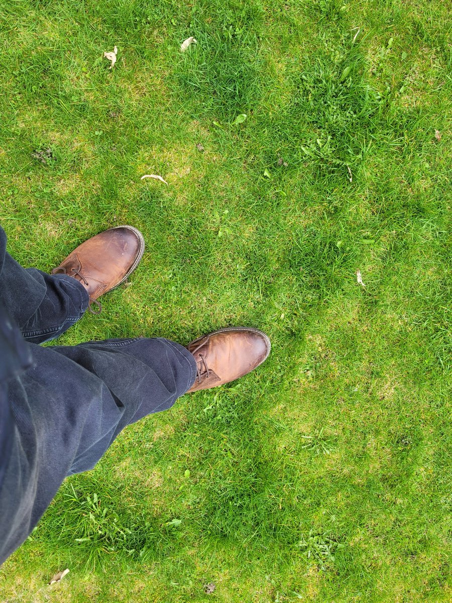 William Kilbride tweet media