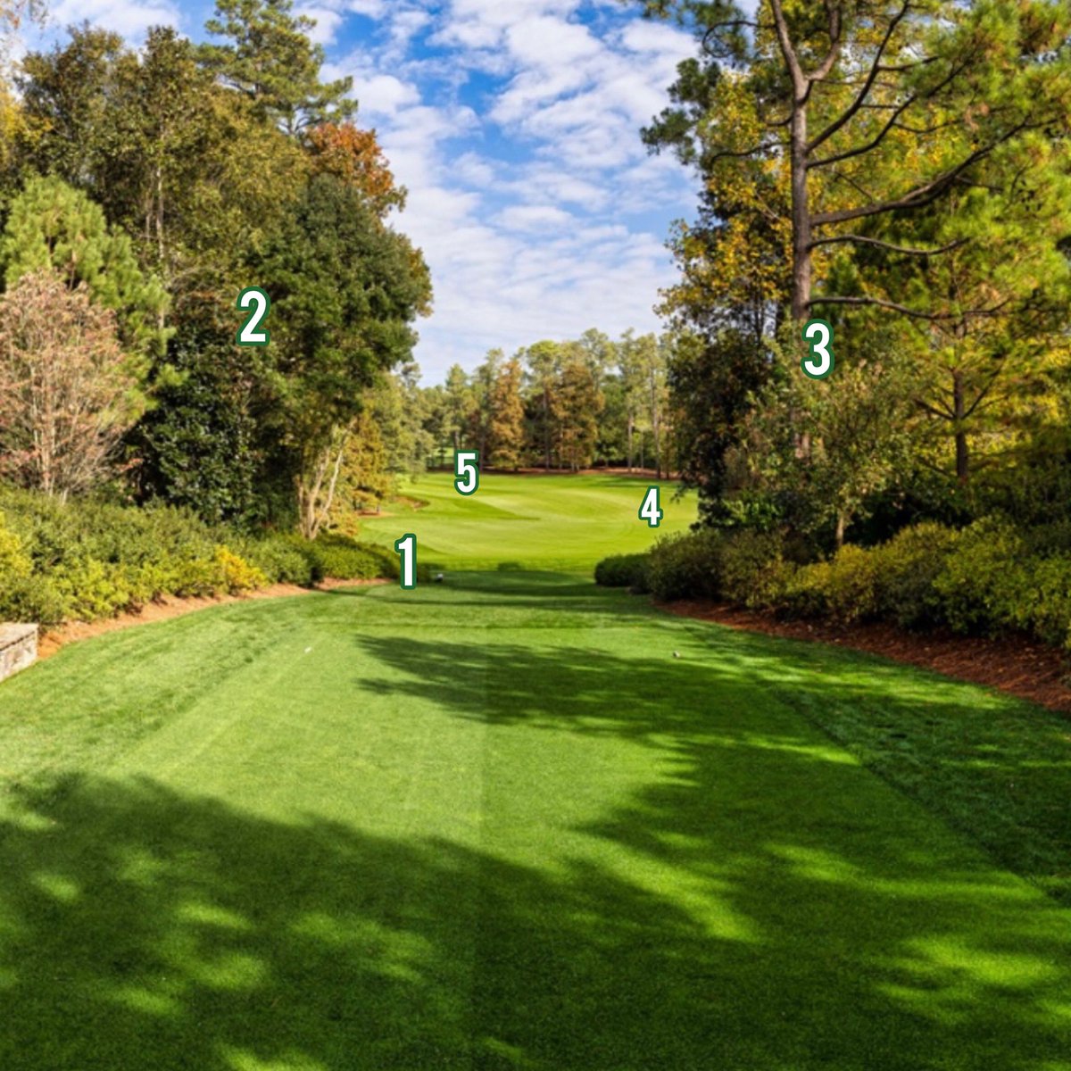 Fore Play tweet media