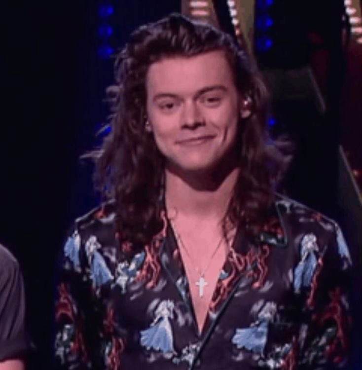 mermaidharr's tweet photo. one direction harry? harry? the one wearing the princess blouse? https://t.co/nNChcul3VR