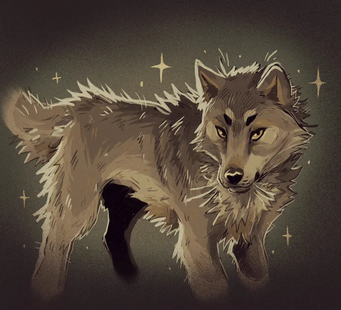 A quick lil wolf warmup  