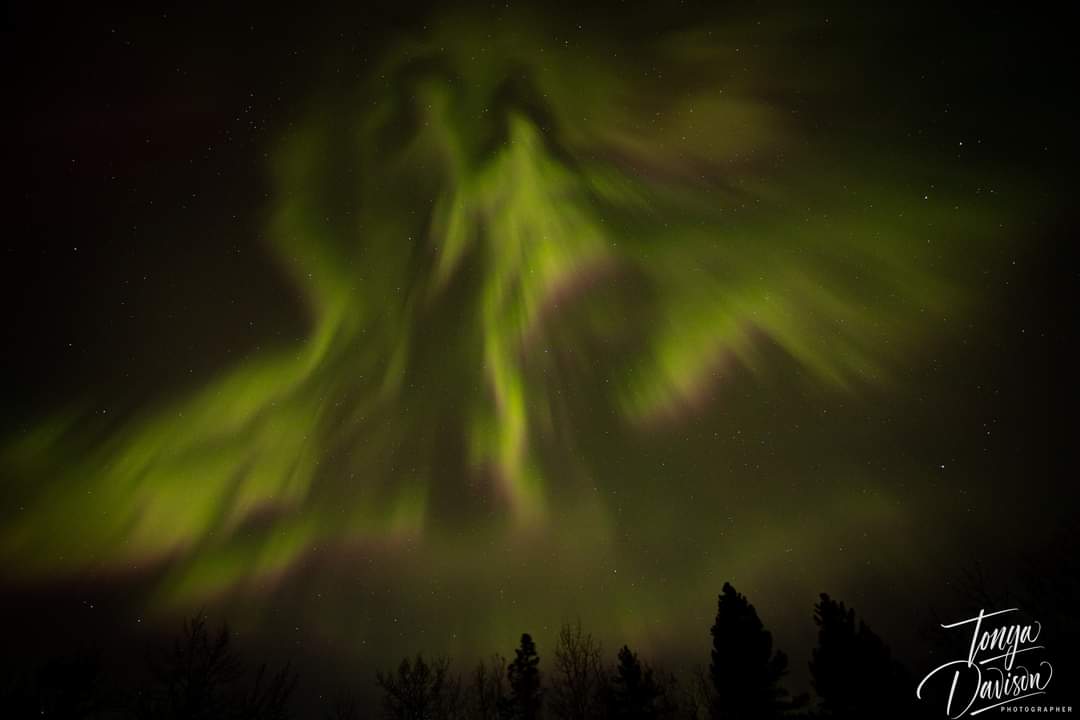 TonyaDavisPhoto's tweet photo. Last Thrusday (March 23) the northern lights made a big appearance. This one looks like 2 people walking holding hands. #Alberta #Canada #camrosecounty #Auroraborealis #canon6dmark2 #nightphotography #northernlights #nightsky #photographer #photography https://t.co/VuWsIHXQ76