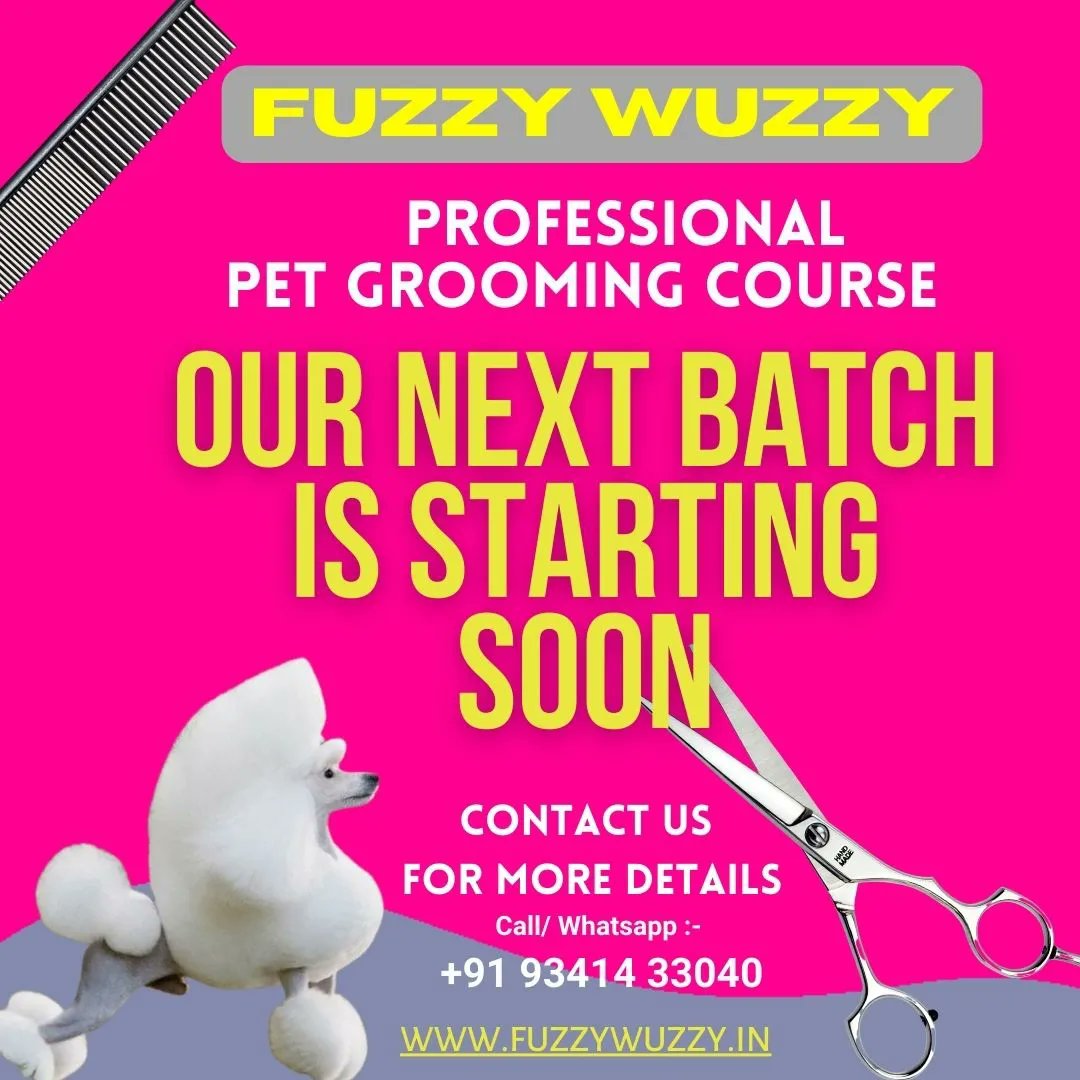 FuzzyRadhiya's tweet image. Certified Pet Grooming Course in just 4 weeks by India&apos;s Pet Grooming Industry leaders. Exclusively designed  for all entrepreneurs looking to turn your passion into the most gratifying profession!
.
.
.
#fuzzywuzzy #petgroomingschool #petgroomingacademy #doggroomingcourses