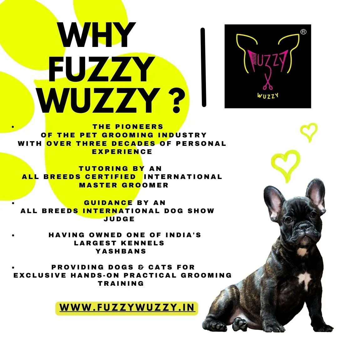 FuzzyRadhiya's tweet image. Certified Pet Grooming Course in just 4 weeks by India&apos;s Pet Grooming Industry leaders. Exclusively designed  for all entrepreneurs looking to turn your passion into the most gratifying profession!
.
.
.
#fuzzywuzzy #petgroomingschool #petgroomingacademy #doggroomingcourses