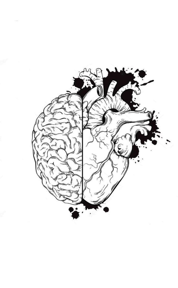 LetrasBreves's tweet photo. "Allí donde habla el corazón es de mala educación que la razón lo contradiga."

Milan Kundera.

Aniversario de nacimiento 94. https://t.co/tnUCGrwWVy