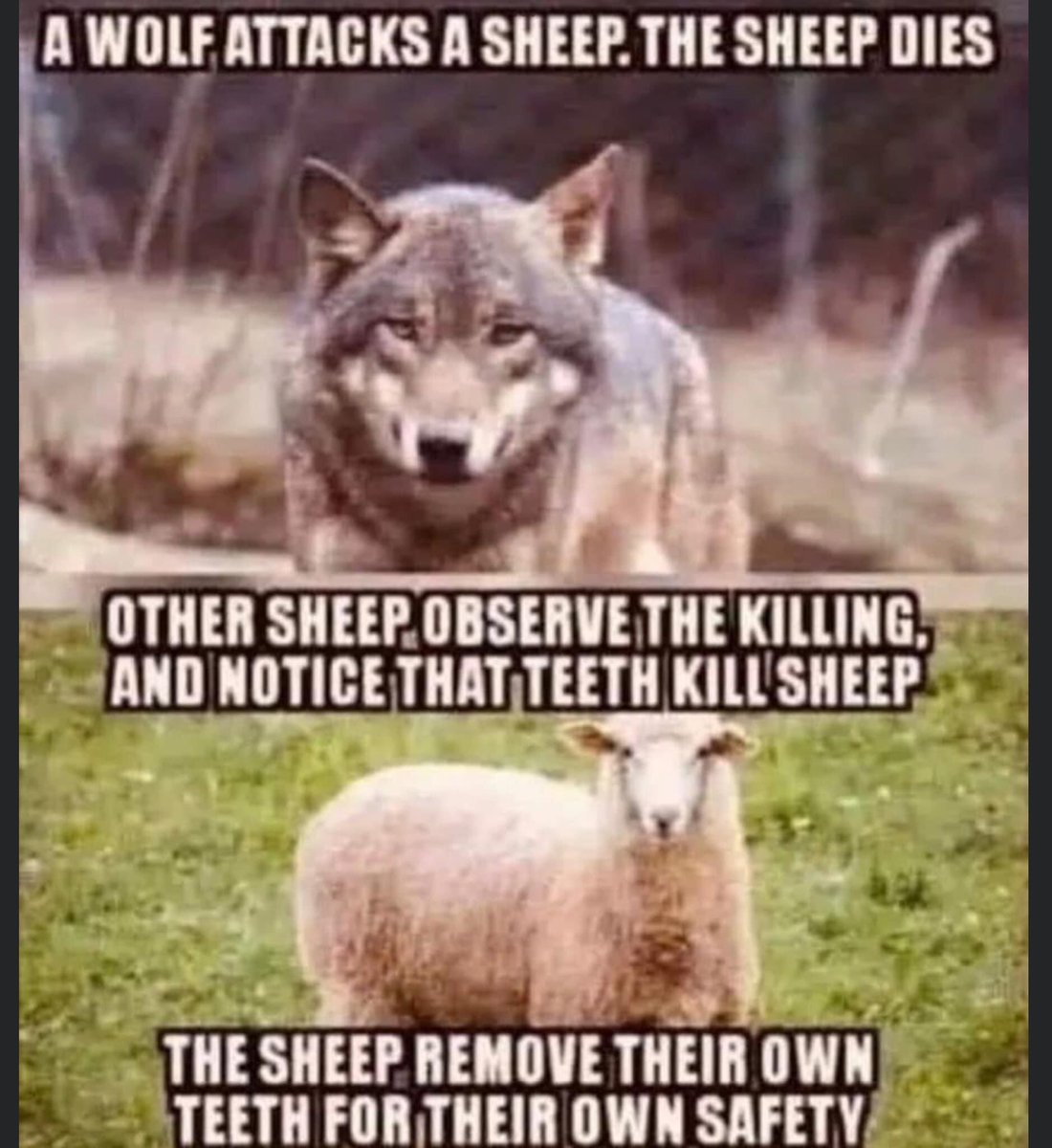 Mike Verdonck tweet media