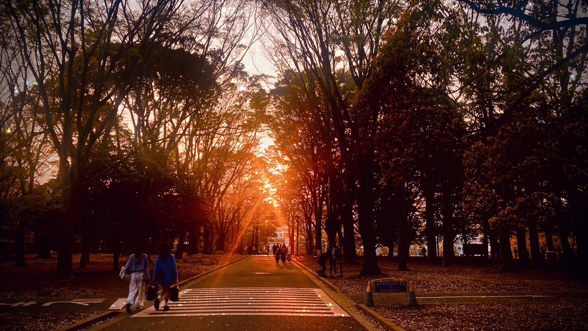 刀剣映画見てから花見した🌸