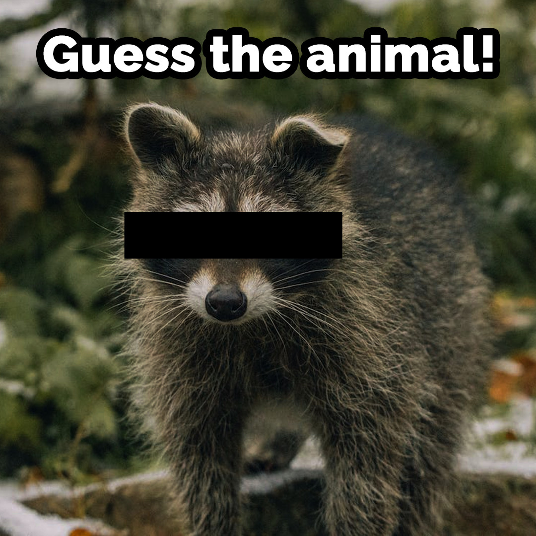 ONresources's tweet photo. Weโre kicking off another round of #Trivia to put your skills to the test. What could these animals be?
#GuessTheAnimal #Trivia #AprilFools #FirstDayOfApril https://t.co/34li2IJnSa