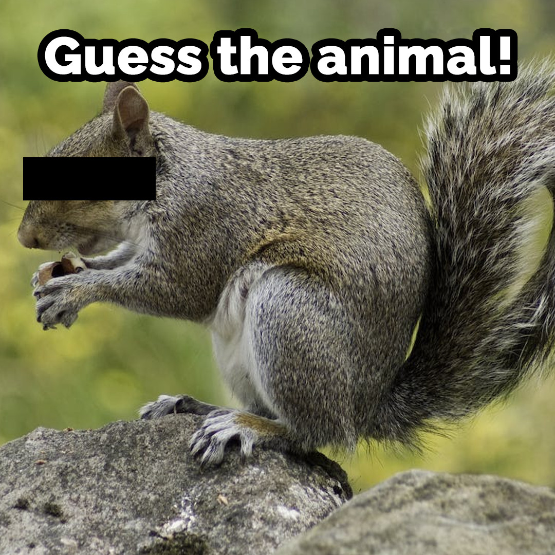 ONresources's tweet photo. Weโre kicking off another round of #Trivia to put your skills to the test. What could these animals be?
#GuessTheAnimal #Trivia #AprilFools #FirstDayOfApril https://t.co/34li2IJnSa