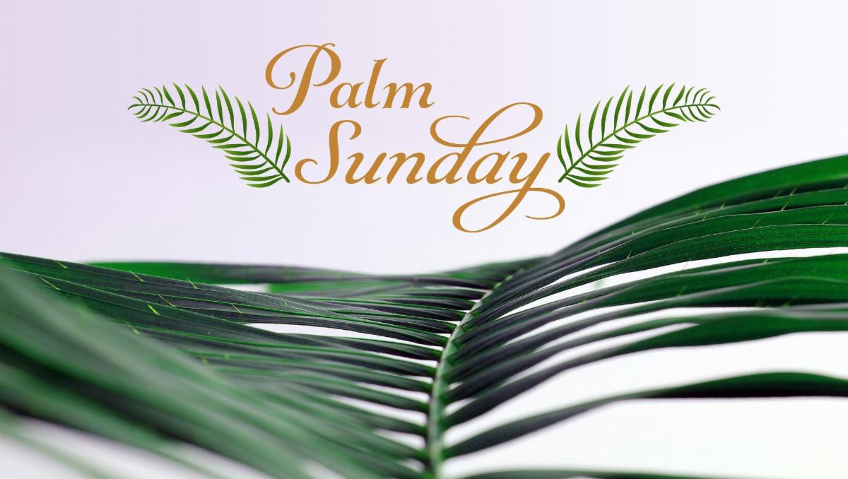 HolyCovenantMCC's tweet photo. "What's Happening At Holy Covenant" is now available to read here ➡️ https://t.co/7ySCZYU9Q4.

Please join us for Palm Sunday for services at 10 am.
https://t.co/nMLBbn8mp3 https://t.co/rnAaT7rkIZ