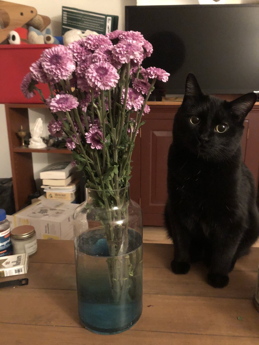 yknowidk's tweet photo. when she brings you flowers 💕 https://t.co/Hci6oTiLD5