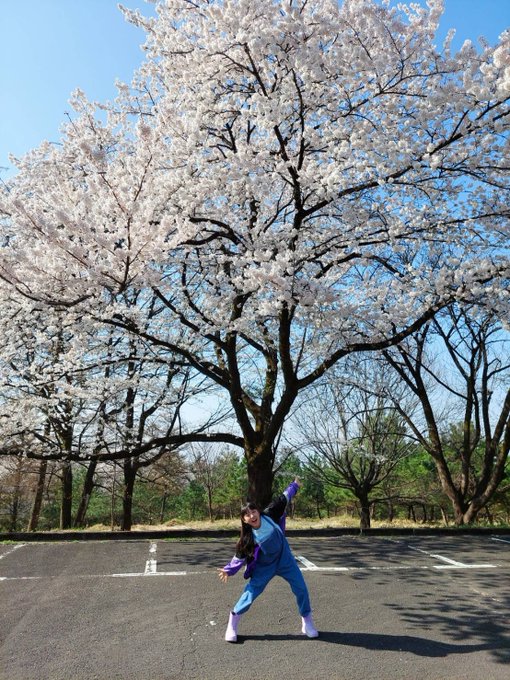 Twitterのコスプレ画像16