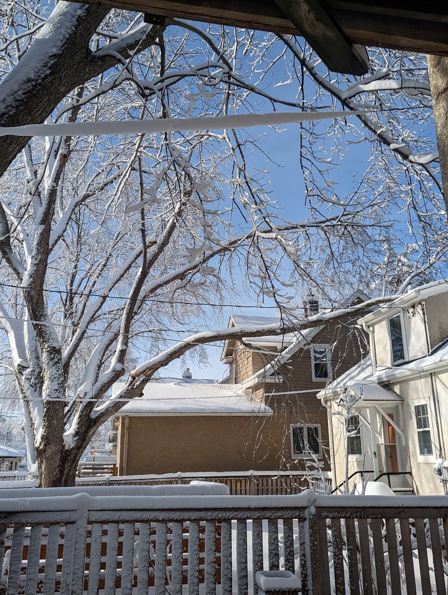 TorresRayMN's tweet photo. No electricity in our House since last night. Under the blankets over night was ok. Now what? 🥶🥶🥶 #QueFrio
#MinnesotaSpring https://t.co/1IzrqAejDa