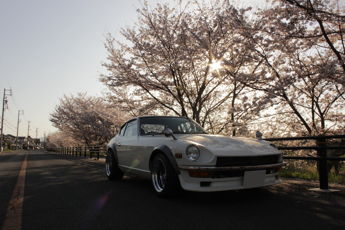 16__yusuke's tweet photo. 今年も無事に桜と撮れた。
#日産 #nissan #ニッサン #s30z #46年式 #前期 #fairladyz #フェアレディz #datsunz #l28改 #solex #ソレックス https://t.co/6Vhe5Rzfh3