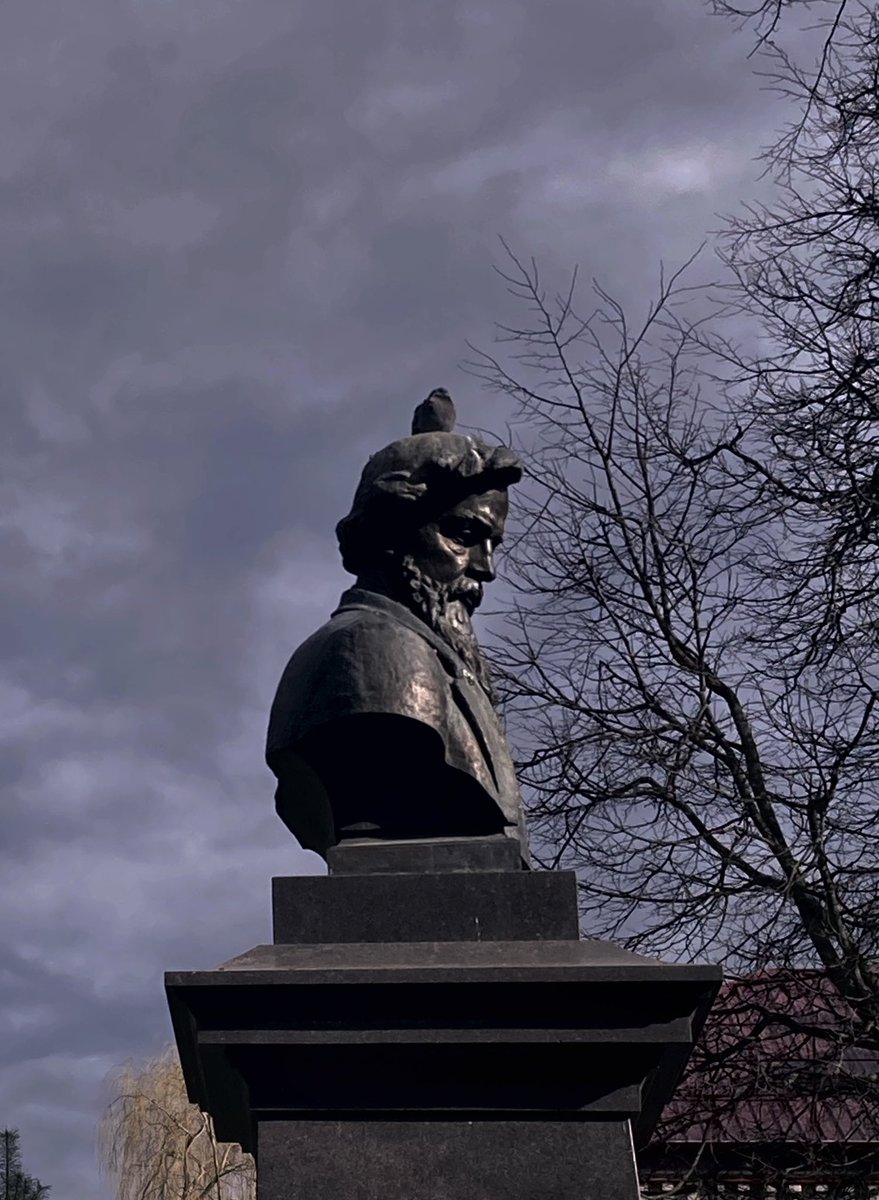 хихи голубь так прикольного сидит