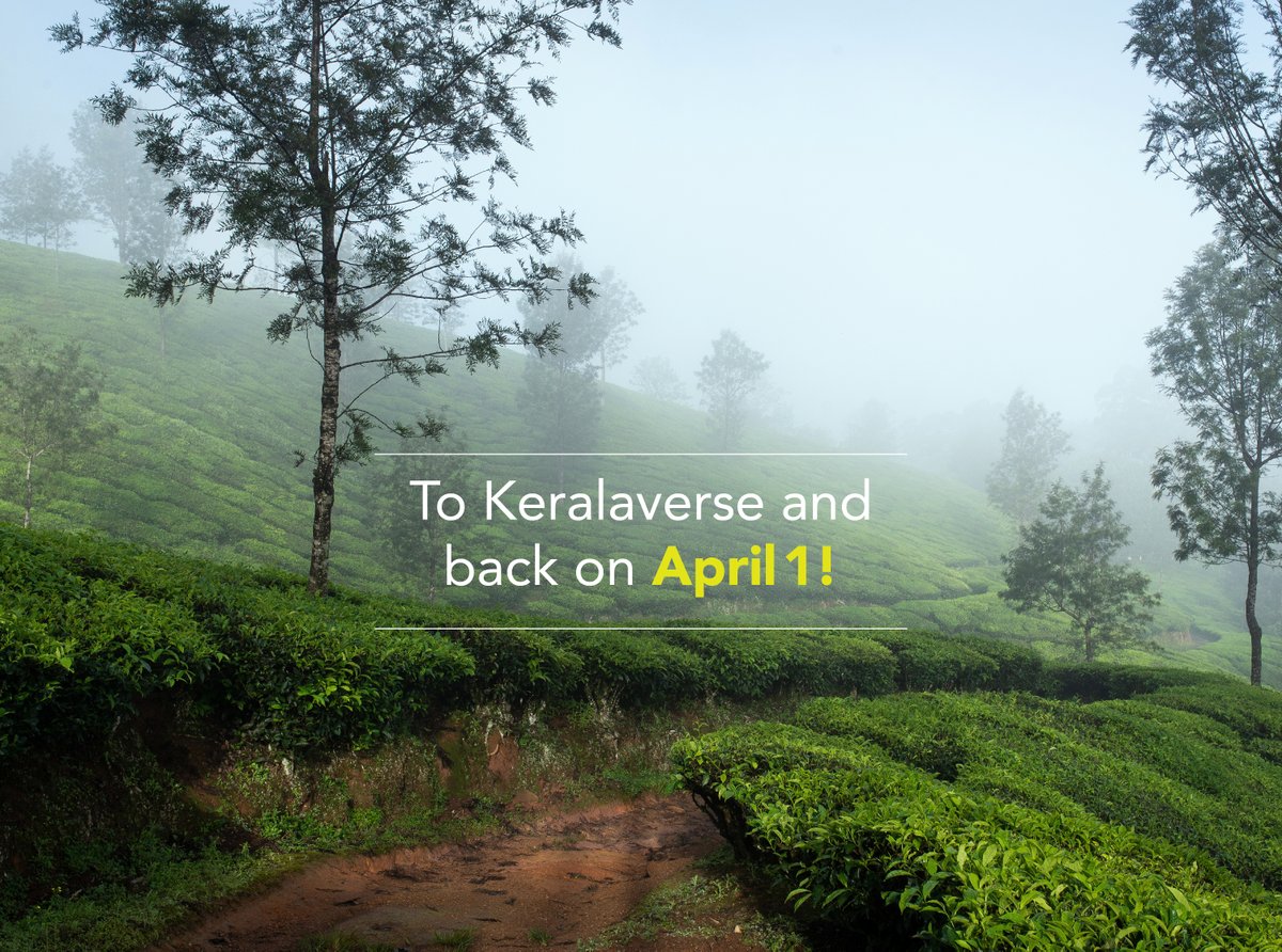 Kerala Tourism tweet media