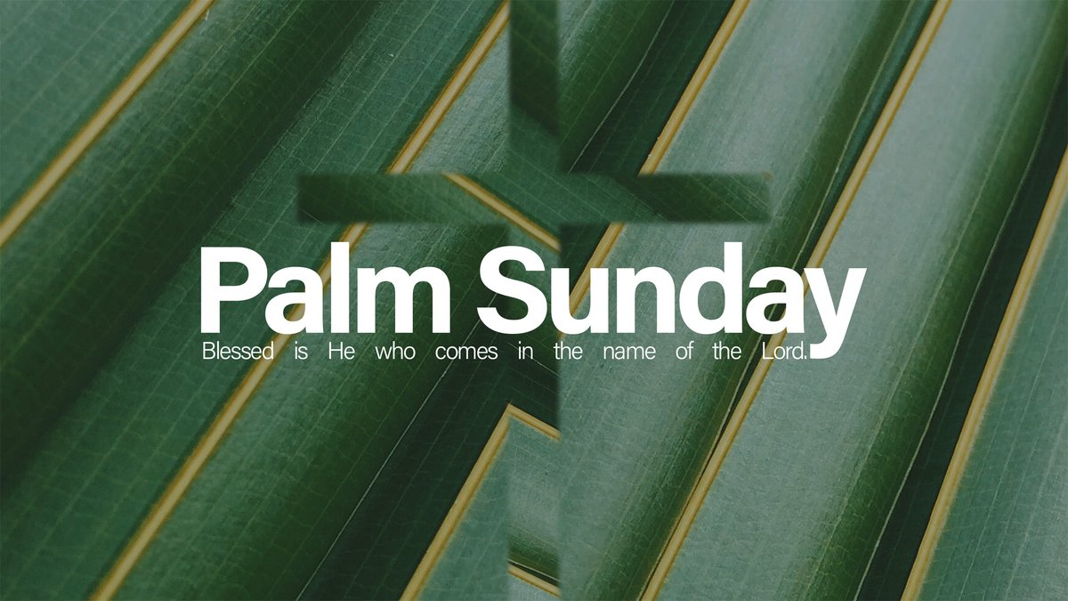 robertjeffress's tweet photo. They took palm branches and went out to meet him, shouting, "Hosanna!" "Blessed is he who comes in the name of the Lord!" "Blessed is the king of Israel!"

Worship with #FirstDallas tomorrow. https://t.co/QDHvzxuuxw https://t.co/Ac7LOu5vYh