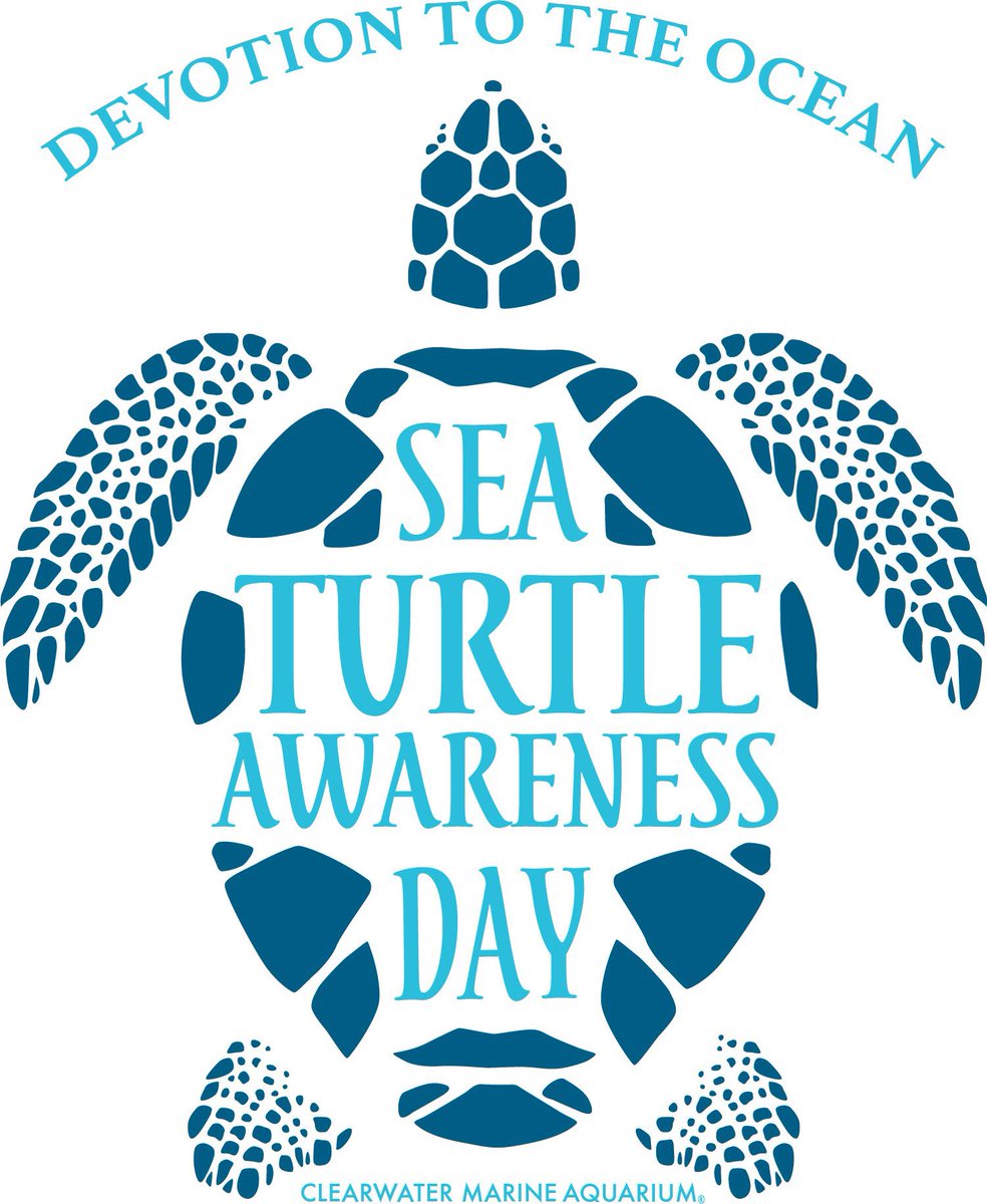 #SeaTurtleAwarenessDay 🐢🐢🐢🐢🐢🐢