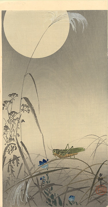 ohara_koson's tweet photo. Grasshoper and Fool Moon, 1910 #shinhanga #koson https://t.co/QfqJdkVbo0 https://t.co/VL54owqfdx