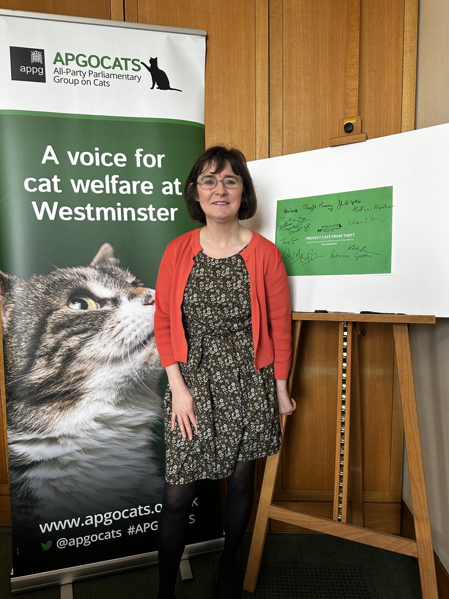 Proposals across UK for a new #PetTheft offence will exclude cats from these measures. But cat thefts are rising at an alarming rate. As Vice Chair of @APGOCATs I believe cats should have parity with dogs. @CatsProtection See Cat Theft Report here 👉bit.ly/3lXrD0C