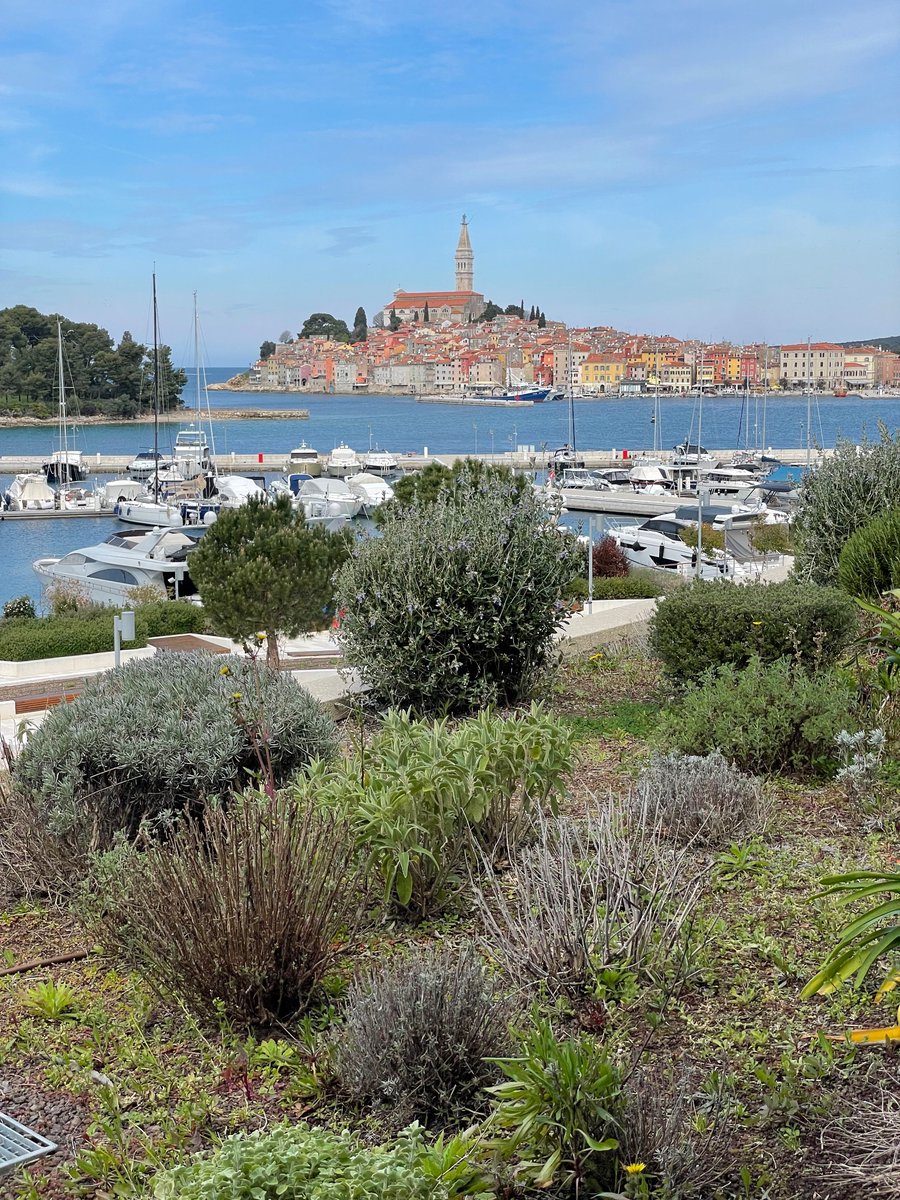 Olivier Gaucher tweet media