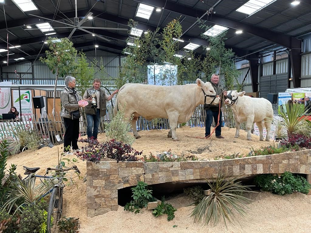 Crédit Agricole d'Ille-et-Vilaine tweet media