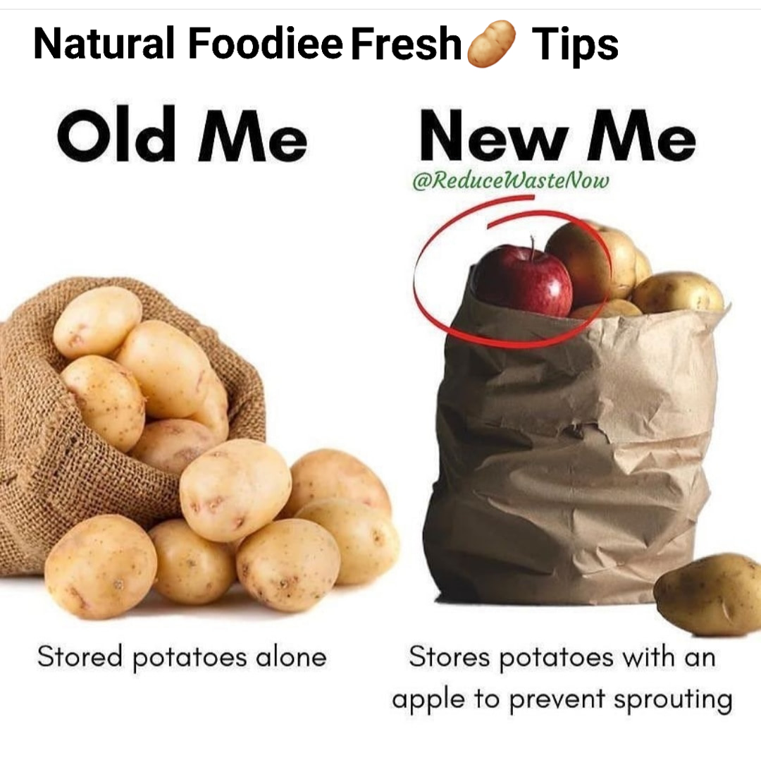 surwade_deepak's tweet image. #FreshTips#NaturalFoodieeTheExportCompany