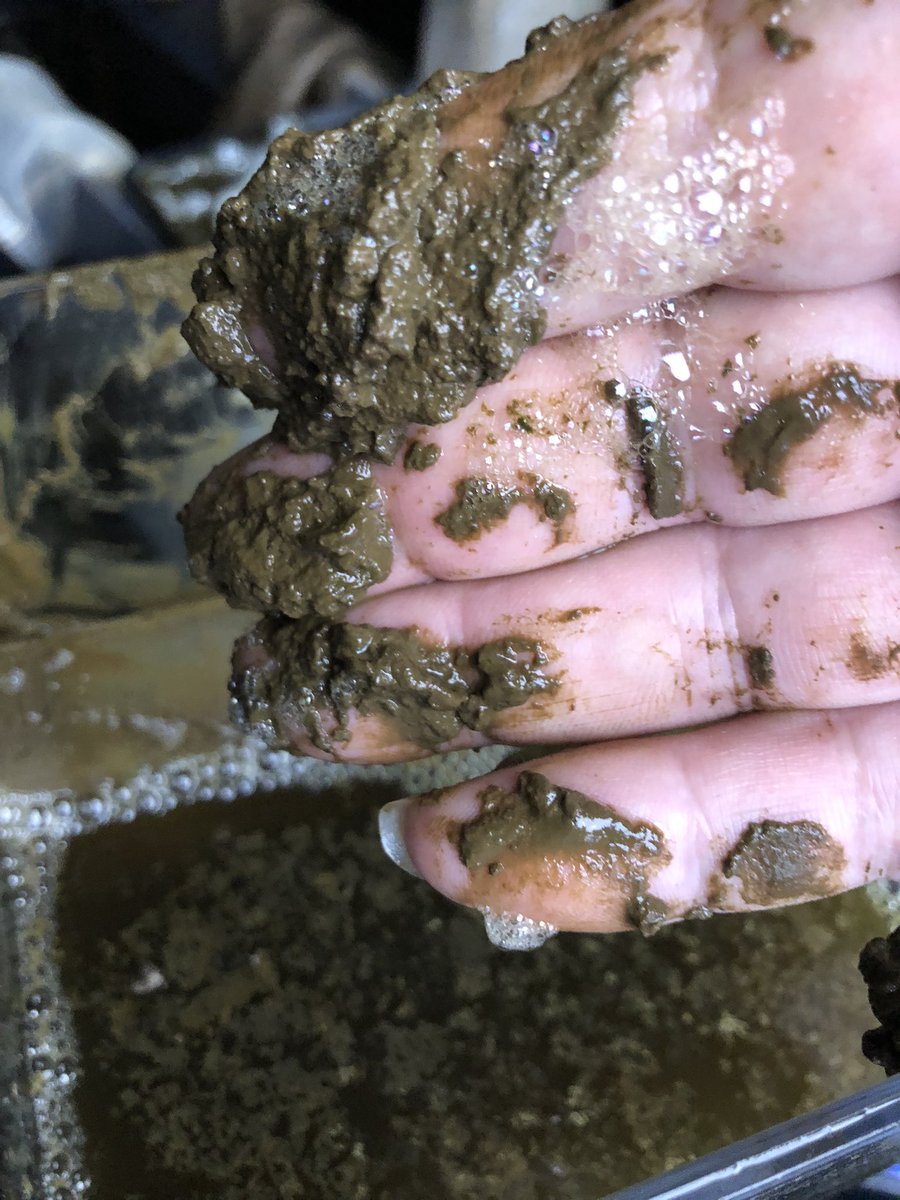 NapqoJapan's tweet photo. DrTim ウエストアウェイ リン酸 硝酸塩に バクテリア🦠が 同化して(押せえこむ)スキマー、フィルターで 取る!バクテリアです。スキマーが 取ります。#DrTim #ウエストアウェイ https://t.co/cuoWFkDHpS