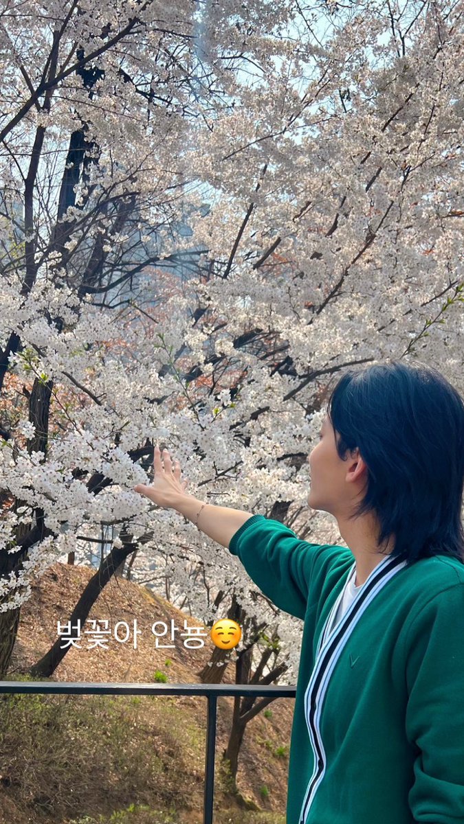 HANISTAGRAM tweet media