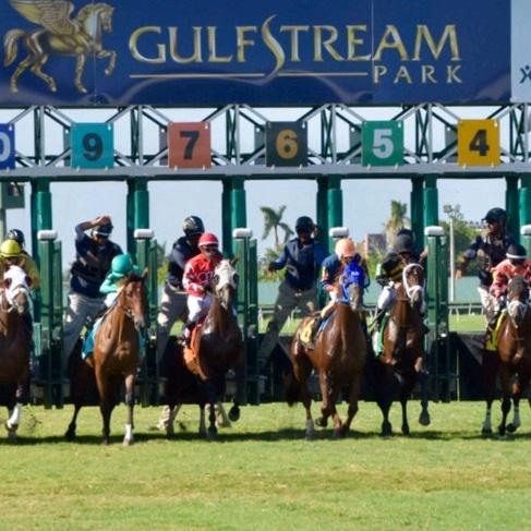 Tarde clásica hoy sábado en Gulfstream Park  el Florida Derby  prueba tu SUERTE en la página más confiable en apuestas deportivas Apuestas Royal