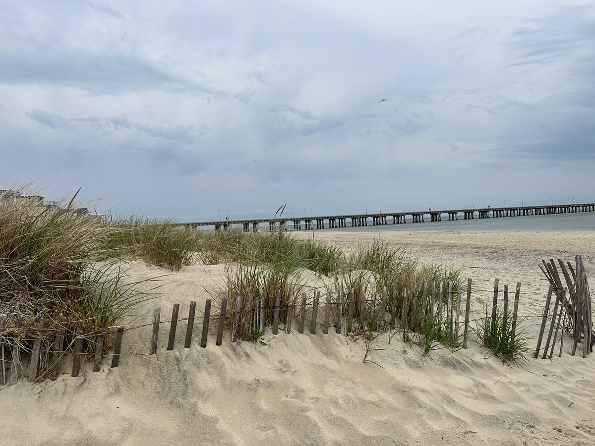 EcoHermitage's tweet photo. #60minutebeachcleanup #BeAViking @HESVBVikings @vbschools @SurfriderVA
It was quite breezy at Chickβs Beach this morning, but we managed to pick up 32 pounds of trash! Way to go Vikings!πππ https://t.co/uvp2xT9Ahg