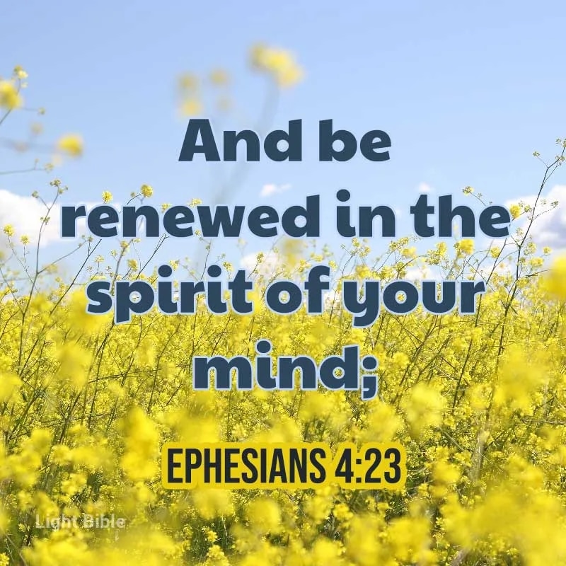 HannabePagaran's tweet photo. When we become saved, the Holy Spirit starts to helps us work on unlearning and undoing any harmful thoughts that may be contrary to God. 
#hdesign
#programmer #fypシ 
#Tweets 
#Webdesign 
#GoodEvening 
#bibleverseoftheday 
#verse 
#SpreadTheWord 
#viralpost 
#BibleStudy https://t.co/phG33vanbT