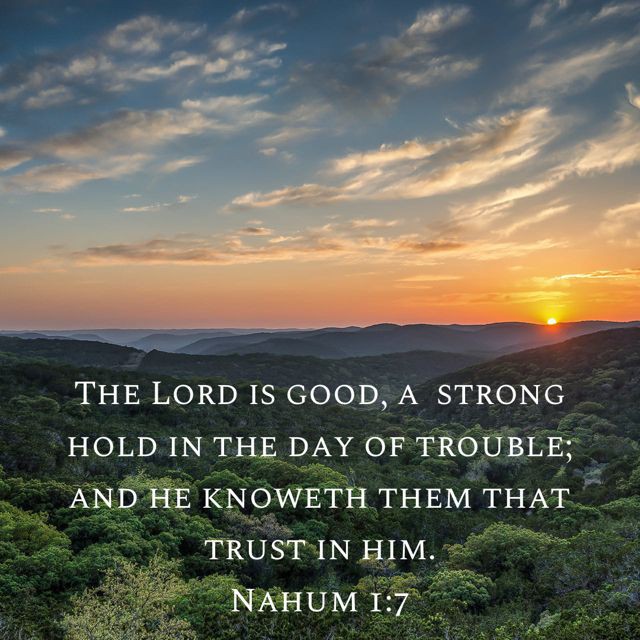 Prophetic Fire tweet media