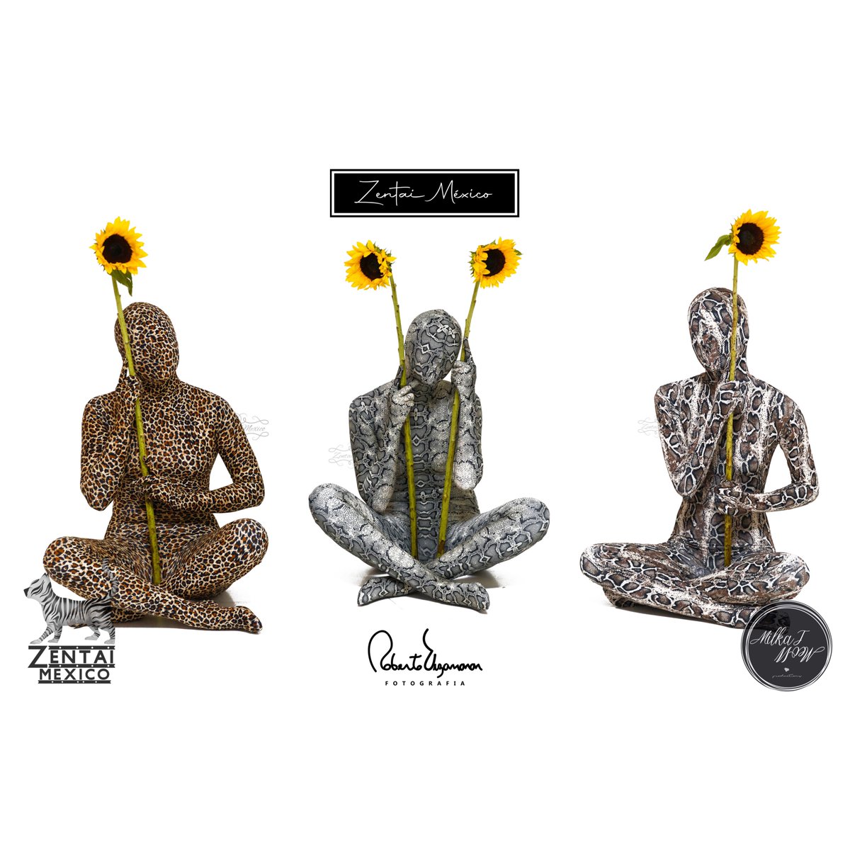 ZENTAIMEXICO's tweet photo. Que día tan increíblemente ❤️
Los gustan los girasoles 🌻? 

Modelos :
adriis_ram 
gemamaravillac 
@Scars022 

#zentai #zentaisuit #zentaigirl #zentaiart #zentaimexico #zentaimodel #models #modelos #fotografia #elegancia #elegante #newiconmodels #ciudaddemexico🇲🇽 #girasoles🌻 https://t.co/EdEJ9BvgXj