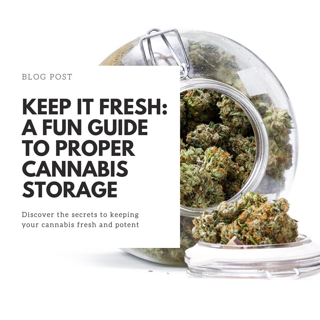 Happy Saturday! 🌿 Whether you're a seasoned smoker or a newbie, it's important to know how to store your cannabis properly for maximum freshness and potency. Check out our latest blog post for some helpful tips! #cannabisstorage #saturdayvibes #weedstagram