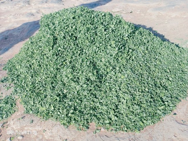 Supply contact9521222974