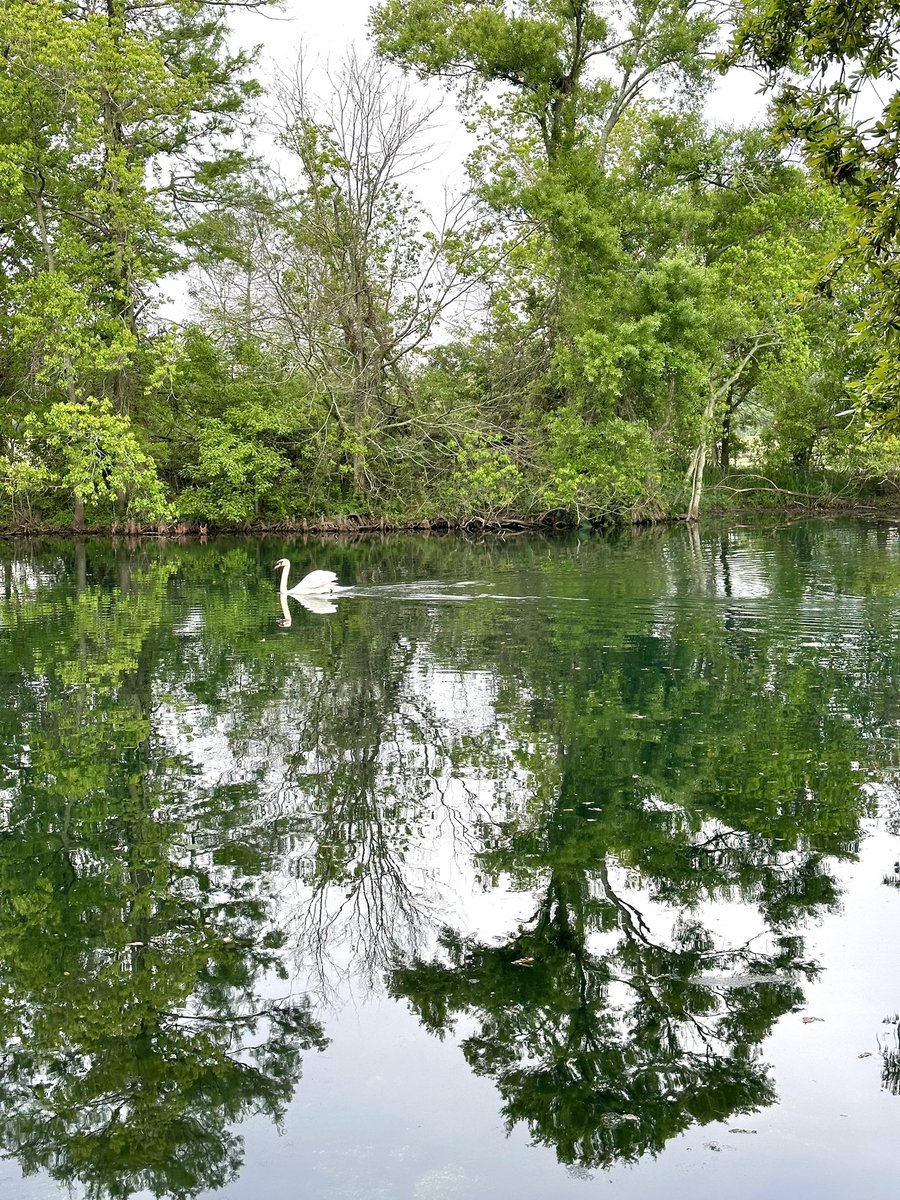 GM! Hope you are having a beautifully tranquil weekend.