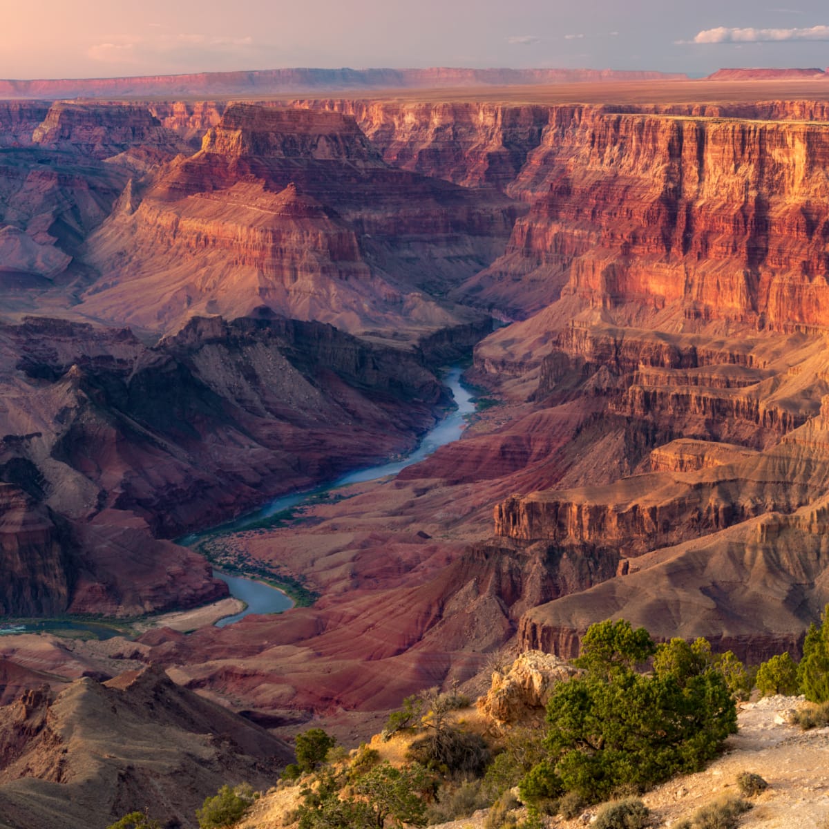 BluegrassScenes tweet picture