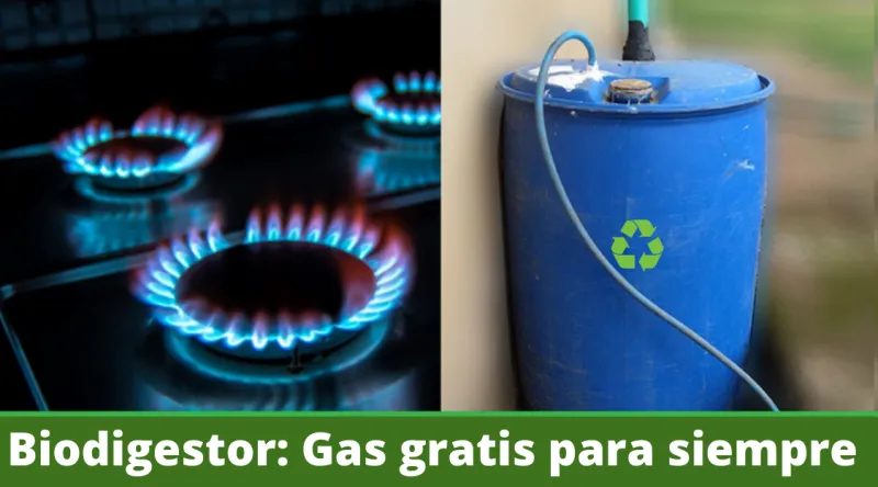 ♻️ ¡Convierte tus residuos orgánicos en energía💡 con un biodigestor casero💨 ! Entra en la pagina de Solarpedia para aprender a hacerlo  YA❗:
solarpedia.info/inventos-ecolo…