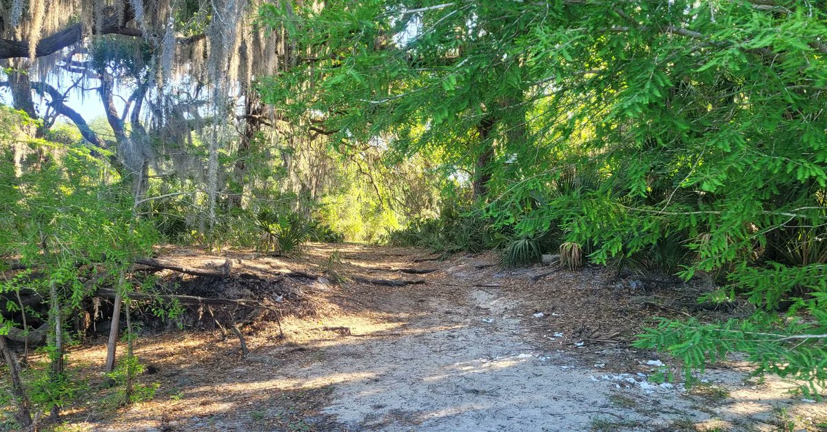 VMRamosjr's tweet photo. At today's Alexander Island Riverbend South Tour #DeBary Naturally...More Than You Imagined https://t.co/8ieOH9gpw1