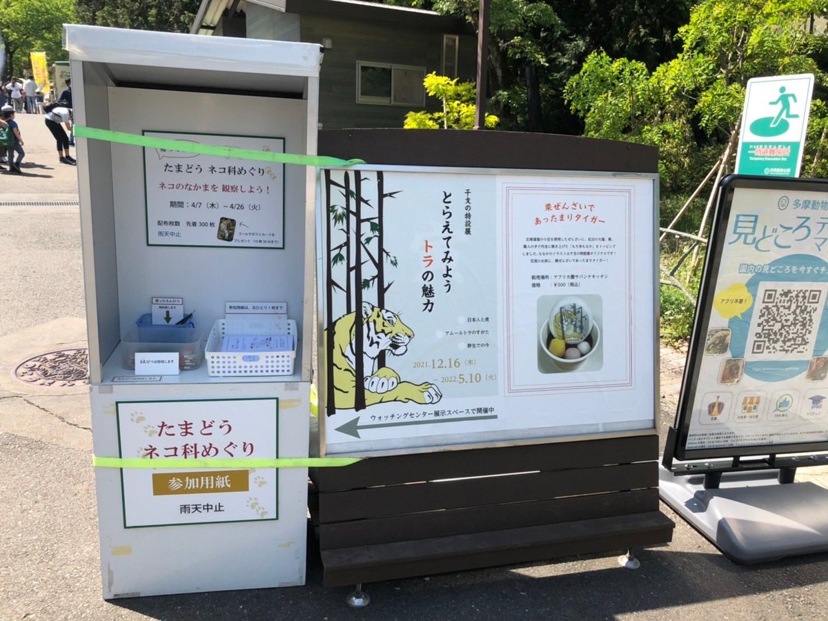 chu_neco_'s tweet photo. サークル紹介①

昨年度の新歓では多摩動物公園に行きました！奇跡的に「ネコ科めぐり」という企画が開催されている時期で、チュウネコらしい活動ができました🐯

今年度の新歓イベントもお楽しみに！！
#春から中央 #春から中大
#春から明星
#春から帝京 https://t.co/mcn5V45ReH