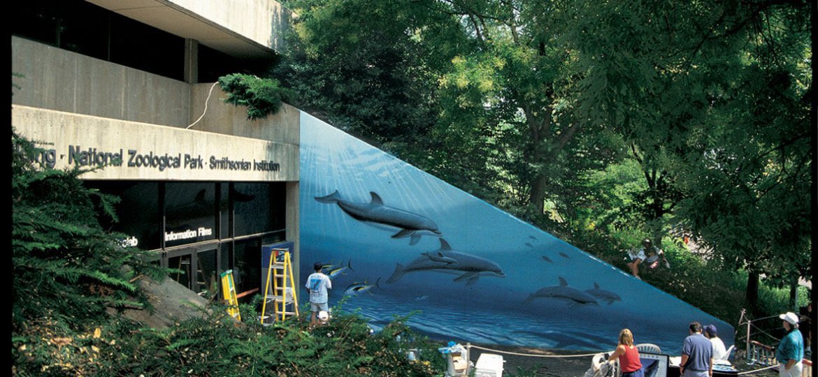 Jan Dell tweet media