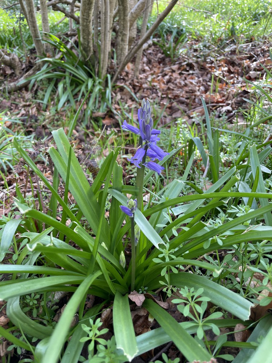 Joe Cilia tweet media