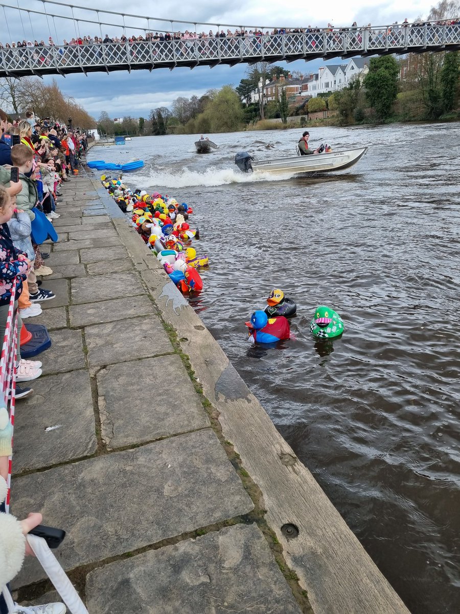Cheering on the Woodlands Duck 🦆